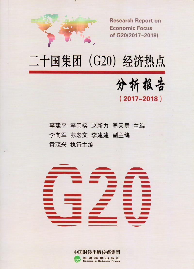 大鸡吧操荡妇二十国集团（G20）经济热点分析报告（2017-2018）